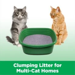 Arm & Hammer Litter Clump & Seal MicroGuard Odor Sealing Clumping Cat Litter With 10 Days Of Odor Control -Cat Supply Store 103804 PT7. AC SS1800 V1665779966