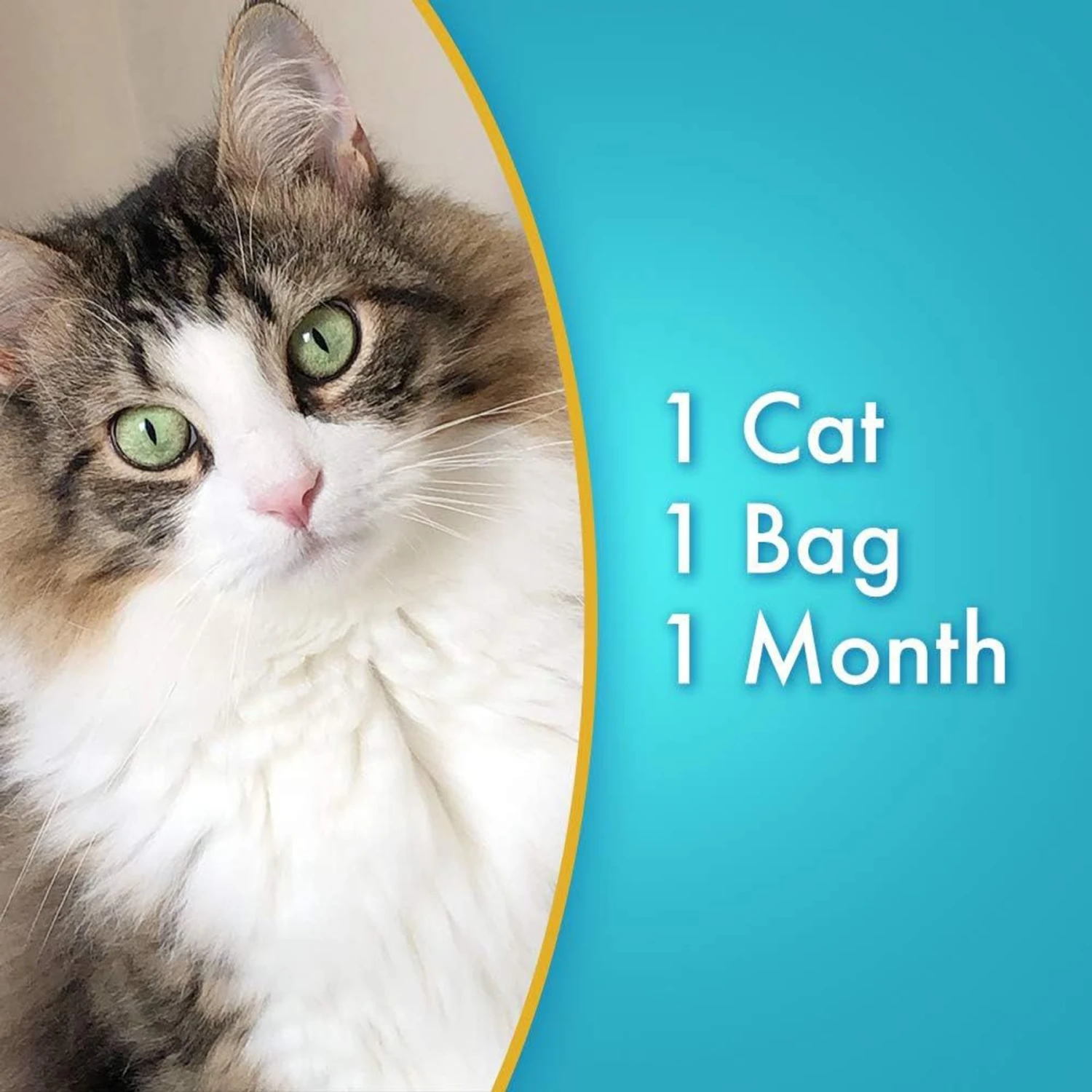 Ultra Pearls Unscented Non-Clumping Crystal Cat Litter 7 Ultra Pearls Unscented Non-Clumping Crystal Cat Litter - Image 5