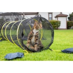 Outback Jack Kitty Compound Cat Playpen Tent & Tunnel 12 Outback Jack Kitty Compound Cat Playpen Tent & Tunnel -Cat Supply Store 111178 PT4. AC SS1800 V1561727244