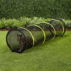 Outback Jack Fun Run Cat Tunnel