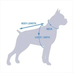 Pets First NBA Dog & Cat Mesh Jersey 17 Pets First NBA Dog & Cat Mesh Jersey -Cat Supply Store 111989 PT8. AC SS1800 V1541180284