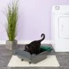 Pet Zone Smart Scoop Automatic Self-Cleaning Cat Litter Box 2 Pet Zone Smart Scoop Automatic Self-Cleaning Cat Litter Box -Cat Supply Store 115602 MAIN. AC SS1800 V1565284774