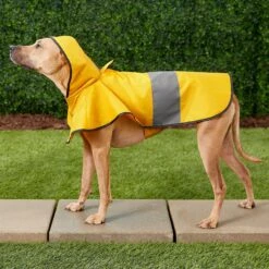 Frisco Lightweight Rainy Days Dog Raincoat 16 Frisco Lightweight Rainy Days Dog Raincoat -Cat Supply Store 119208 PT7. AC SS1800 V1540475377
