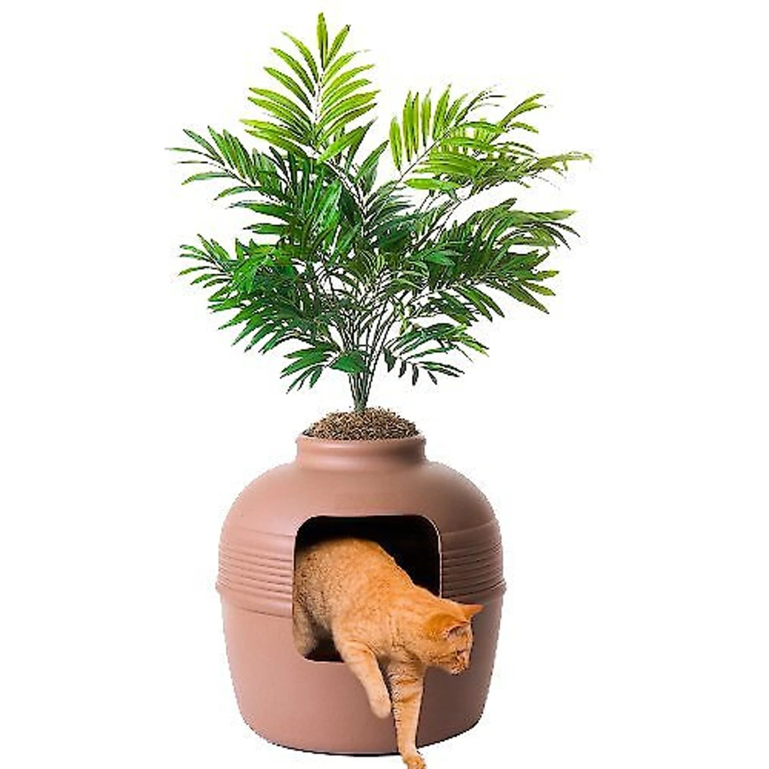 Good Pet Stuff Hidden Cat Litter Planter 4 Good Pet Stuff Hidden Cat Litter Planter - Image 2