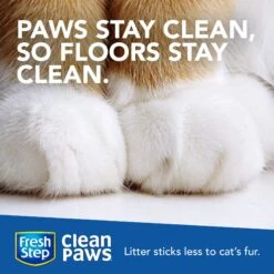 Fresh Step Clean Paws Scented Clumping Clay Cat Litter -Cat Supply Store 141502 PT3. AC SS1800 V1694464765