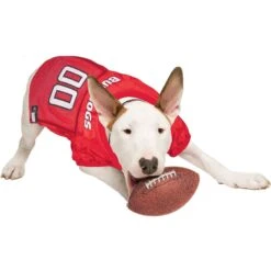Pets First NCAA Dog & Cat Jersey, Georgia Bulldogs -Cat Supply Store 142173 PT3. AC SS1800 V1538433417