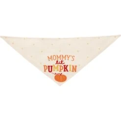Frisco Mommy's Lil Pumpkin Dog & Cat Bandana 12 Frisco Mommy's Lil Pumpkin Dog & Cat Bandana -Cat Supply Store 158936 PT3. AC SS1800 V1689628812