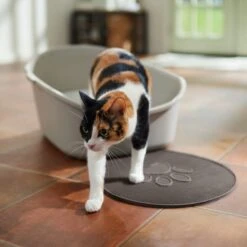 Frisco Shaped Cat Litter Mat 8 Frisco Shaped Cat Litter Mat -Cat Supply Store 166306 PT3. AC SS1800 V1675279990