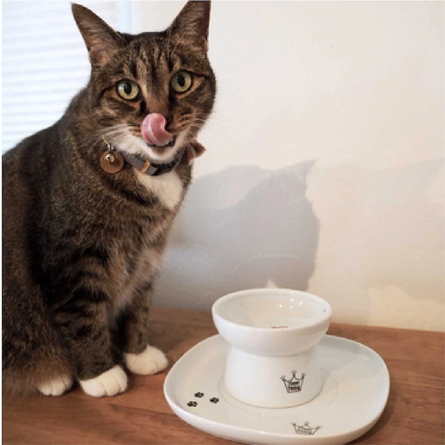 Necoichi Single Dining Tray 6 Necoichi Single Dining Tray - Image 4