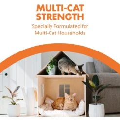 Arm & Hammer Litter Naturals Scented Clumping Corn Cat Litter 17 Arm & Hammer Litter Naturals Scented Clumping Corn Cat Litter -Cat Supply Store 184404 PT6. AC SS1800 V1663798197