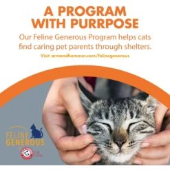 Arm & Hammer Litter Naturals Scented Clumping Corn Cat Litter 18 Arm & Hammer Litter Naturals Scented Clumping Corn Cat Litter -Cat Supply Store 184404 PT7. AC SS1800 V1663797205