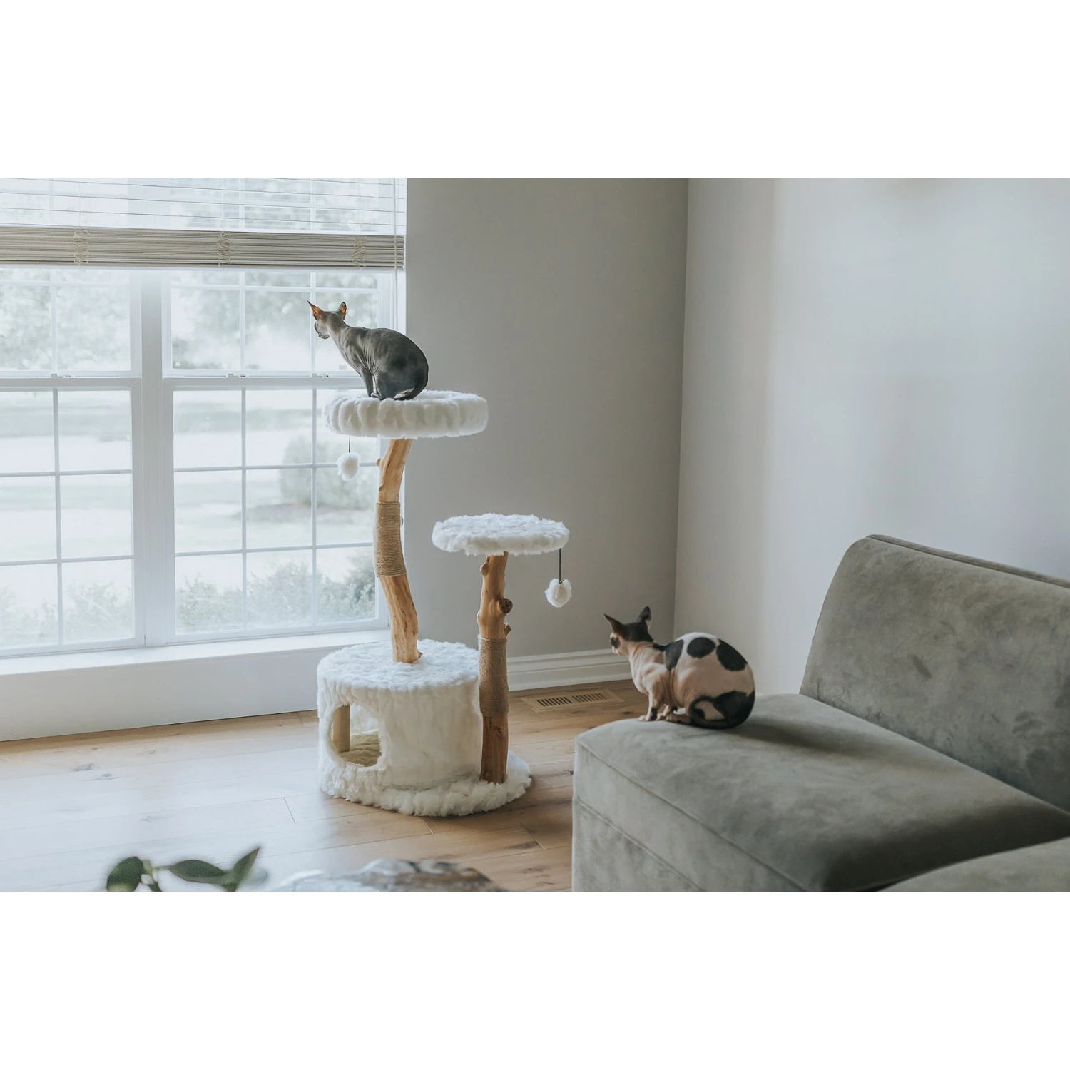 Mau Lifestyle Alba 43-in Modern Wooden Cat Tree & Condo 4 Mau Lifestyle Alba 43-in Modern Wooden Cat Tree & Condo - Image 2