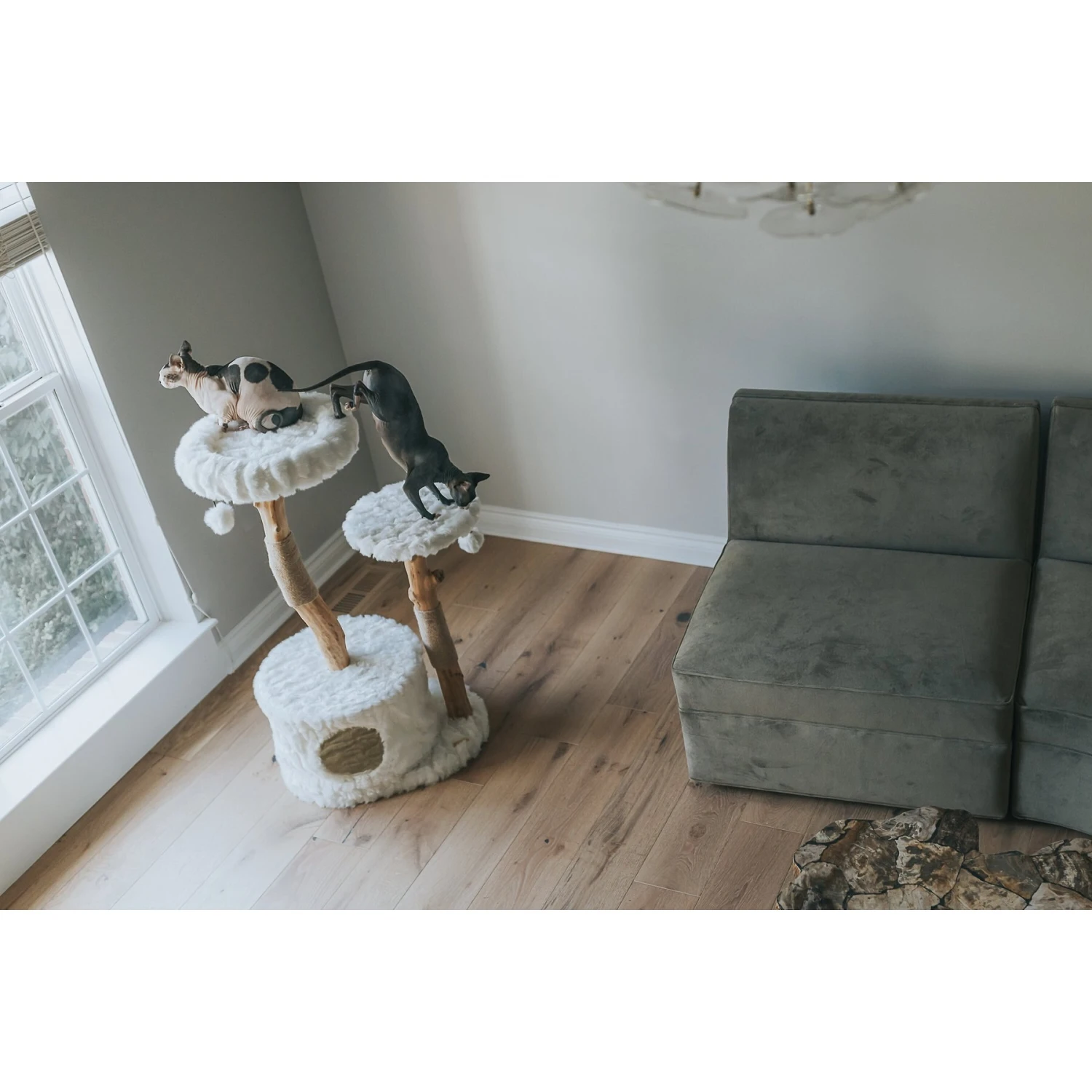 Mau Lifestyle Alba 43-in Modern Wooden Cat Tree & Condo 6 Mau Lifestyle Alba 43-in Modern Wooden Cat Tree & Condo - Image 4