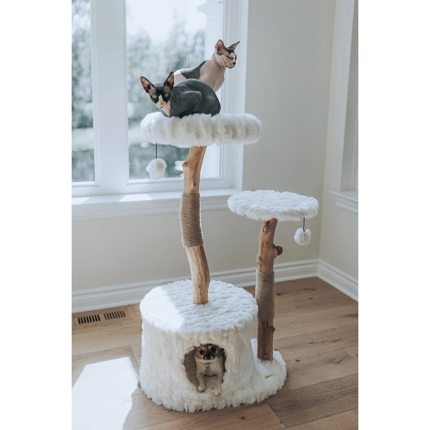 Mau Lifestyle Alba 43-in Modern Wooden Cat Tree & Condo 8 Mau Lifestyle Alba 43-in Modern Wooden Cat Tree & Condo - Image 6