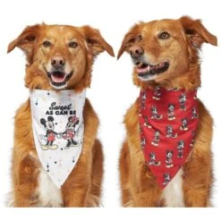 Disney Mickey Mouse & Minnie Mouse "Sweet As Can Be" Reversible Dog & Cat Bandana 15 Disney Mickey Mouse & Minnie Mouse "Sweet As Can Be" Reversible Dog & Cat Bandana -Cat Supply Store 220293 PT4. AC SS1800 V1637667456