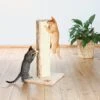 TRIXIE Soria 31.5-in Plush Tower Cat Scratching Post 2 TRIXIE Soria 31.5-in Plush Tower Cat Scratching Post -Cat Supply Store 221639 main. AC SS1800 V1582064609