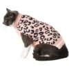 Frisco Leopard Print Dog & Cat Sweater 1 Frisco Leopard Print Dog & Cat Sweater -Cat Supply Store 223755 MAIN. AC SS1800 V1599500755