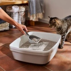 Frisco Lightweight Unscented Clumping Cat Litter -Cat Supply Store 230716 PT4. AC SS1800 V1659023918