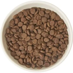 Frisco Double-Sided Ceramic Elevated Cat Bowl 11 Frisco Double-Sided Ceramic Elevated Cat Bowl -Cat Supply Store 232081 PT3. AC SS1800 V1605145964