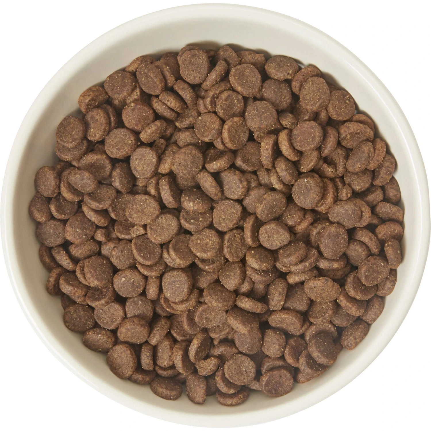 Frisco Double-Sided Ceramic Elevated Cat Bowl 6 Frisco Double-Sided Ceramic Elevated Cat Bowl - Image 4