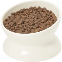 Frisco Double-Sided Ceramic Elevated Cat Bowl 12 Frisco Double-Sided Ceramic Elevated Cat Bowl -Cat Supply Store 232081 PT6. AC SS1800 V1684760471