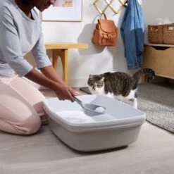 Frisco Micro Crystal Unscented Clumping Crystal Cat Litter 13 Frisco Micro Crystal Unscented Clumping Crystal Cat Litter -Cat Supply Store 232119 PT4. AC SS1800 V1660944685