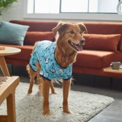 Frisco Happy Shark Dog & Cat Jersey PJs 13 Frisco Happy Shark Dog & Cat Jersey PJs -Cat Supply Store 249122 PT7. AC SS1800 V1614276183