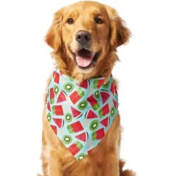 Frisco Fruity Summer Dog & Cat Bandana 11 Frisco Fruity Summer Dog & Cat Bandana -Cat Supply Store 249204 PT2. AC SS1800 V1637644629