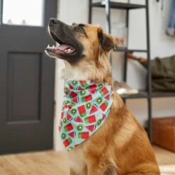 Frisco Fruity Summer Dog & Cat Bandana 13 Frisco Fruity Summer Dog & Cat Bandana -Cat Supply Store 249204 PT4. AC SS1800 V1637668676
