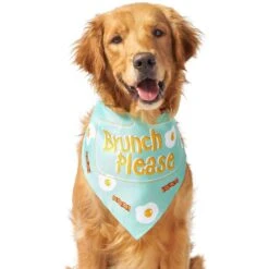 Frisco Brunch Please Dog & Cat Bandana -Cat Supply Store 249207 PT3. AC SS1800 V1696597730