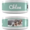 Frisco Playful Kitty Ceramic Personalized Cat Bowl, 1-cup, 8oz 2 Frisco Playful Kitty Ceramic Personalized Cat Bowl, 1-cup, 8oz -Cat Supply Store 250841 MAIN. AC SS1800 V1602625886