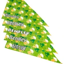 Frisco Green Ale Personalized Dog & Cat Bandana -Cat Supply Store 254207 PT4. AC SS1800 V1618511566