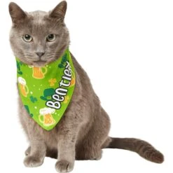 Frisco Green Ale Personalized Dog & Cat Bandana -Cat Supply Store 254207 PT7. AC SS1800 V1618510956