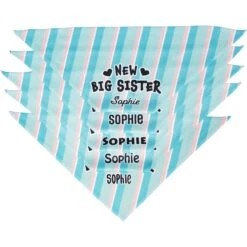 Frisco Big Sister Personalized Dog & Cat Bandana 15 Frisco Big Sister Personalized Dog & Cat Bandana -Cat Supply Store 254235 PT4. AC SS1800 V1619558530