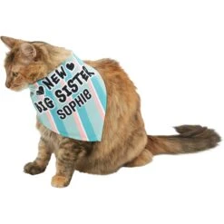 Frisco Big Sister Personalized Dog & Cat Bandana 18 Frisco Big Sister Personalized Dog & Cat Bandana -Cat Supply Store 254235 PT7. AC SS1800 V1619560404