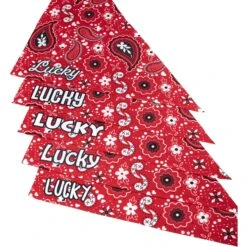 Frisco Paisley Printed Personalized Dog & Cat Bandana 15 Frisco Paisley Printed Personalized Dog & Cat Bandana -Cat Supply Store 254247 PT4. AC SS1800 V1618511570