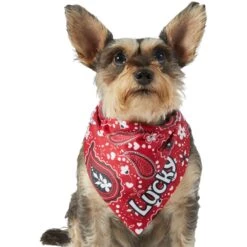 Frisco Paisley Printed Personalized Dog & Cat Bandana 17 Frisco Paisley Printed Personalized Dog & Cat Bandana -Cat Supply Store 254247 PT6. AC SS1800 V1618507975