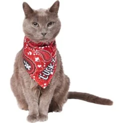 Frisco Paisley Printed Personalized Dog & Cat Bandana 18 Frisco Paisley Printed Personalized Dog & Cat Bandana -Cat Supply Store 254247 PT7. AC SS1800 V1618508211