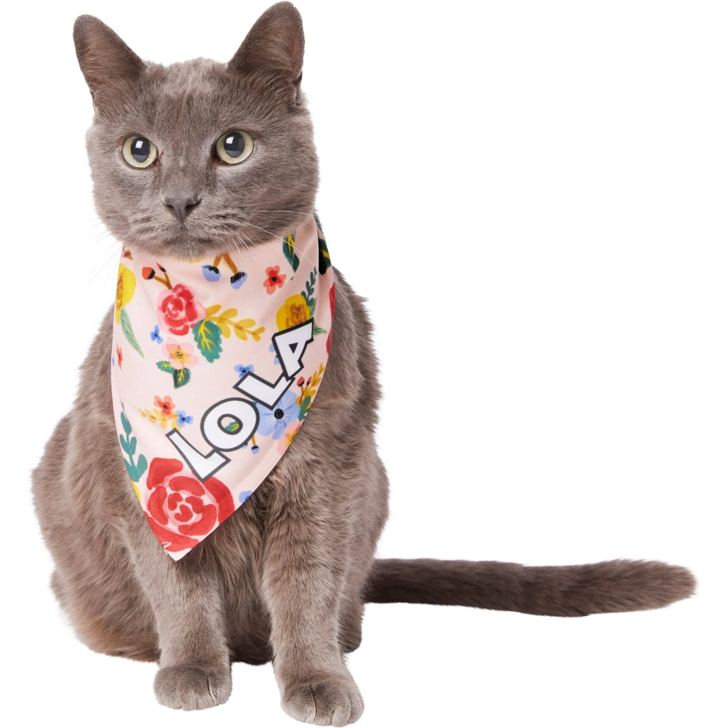 Frisco Floral Personalized Dog & Cat Bandana 10 Frisco Floral Personalized Dog & Cat Bandana - Image 8