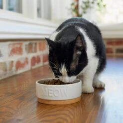 Frisco Round Meow Non-skid Ceramic Cat Bowl With Wood Base 10 Frisco Round Meow Non-skid Ceramic Cat Bowl With Wood Base -Cat Supply Store 256078 PT2. AC SS1800 V1615313612