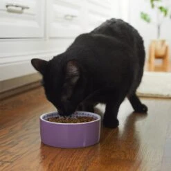 Frisco Kaleidoscope Pattern Non-skid Ceramic Dog & Cat Bowl 10 Frisco Kaleidoscope Pattern Non-skid Ceramic Dog & Cat Bowl -Cat Supply Store 256090 PT2. AC SS1800 V1615311092