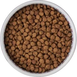 Frisco Kaleidoscope Pattern Non-skid Ceramic Dog & Cat Bowl 13 Frisco Kaleidoscope Pattern Non-skid Ceramic Dog & Cat Bowl -Cat Supply Store 256090 PT5. AC SS1800 V1615312887