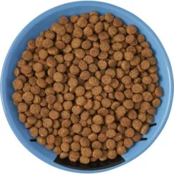 Frisco Cat Face Non-skid Ceramic Cat Dish, Blue 13 Frisco Cat Face Non-skid Ceramic Cat Dish, Blue -Cat Supply Store 256101 PT5. AC SS1800 V1615321282