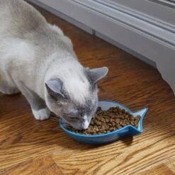 Frisco Fish Shaped Non-skid Ceramic Cat Dish 12 Frisco Fish Shaped Non-skid Ceramic Cat Dish -Cat Supply Store 256109 PT3. AC SS1800 V1617196297