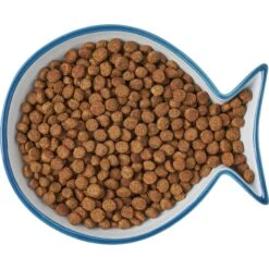 Frisco Fish Shaped Non-skid Ceramic Cat Dish 15 Frisco Fish Shaped Non-skid Ceramic Cat Dish -Cat Supply Store 256109 PT6. AC SS1800 V1617196895