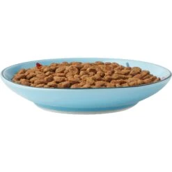 Frisco New York Non-skid Ceramic Cat Dish 14 Frisco New York Non-skid Ceramic Cat Dish -Cat Supply Store 256119 PT5. AC SS1800 V1618494742