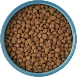 Frisco New York Non-skid Ceramic Cat Bowl 13 Frisco New York Non-skid Ceramic Cat Bowl -Cat Supply Store 256121 PT5. AC SS1800 V1615311387