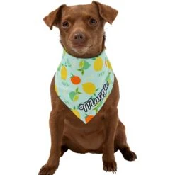 Frisco Citrus Personalized Dog & Cat Bandana 17 Frisco Citrus Personalized Dog & Cat Bandana -Cat Supply Store 258758 PT6. AC SS1800 V1619560354