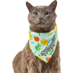 Frisco Citrus Personalized Dog & Cat Bandana 18 Frisco Citrus Personalized Dog & Cat Bandana -Cat Supply Store 258758 PT7. AC SS1800 V1619560408