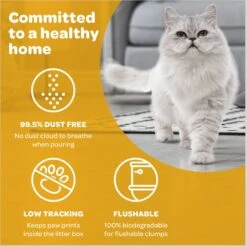 SWheat Scoop Easy Maintenance Clumping Wheat-Corn Cat Litter -Cat Supply Store 264463 PT5. AC SS1800 V1667519981